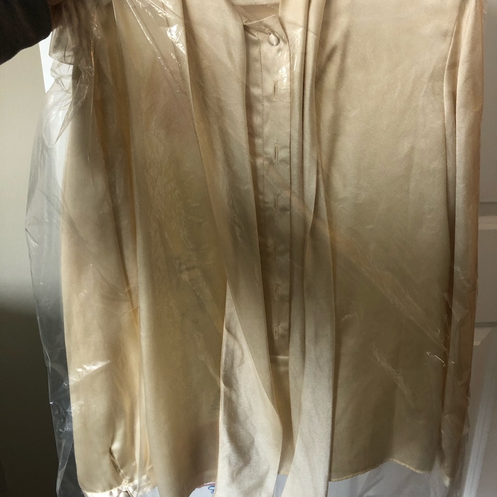 Gold sheer blouse